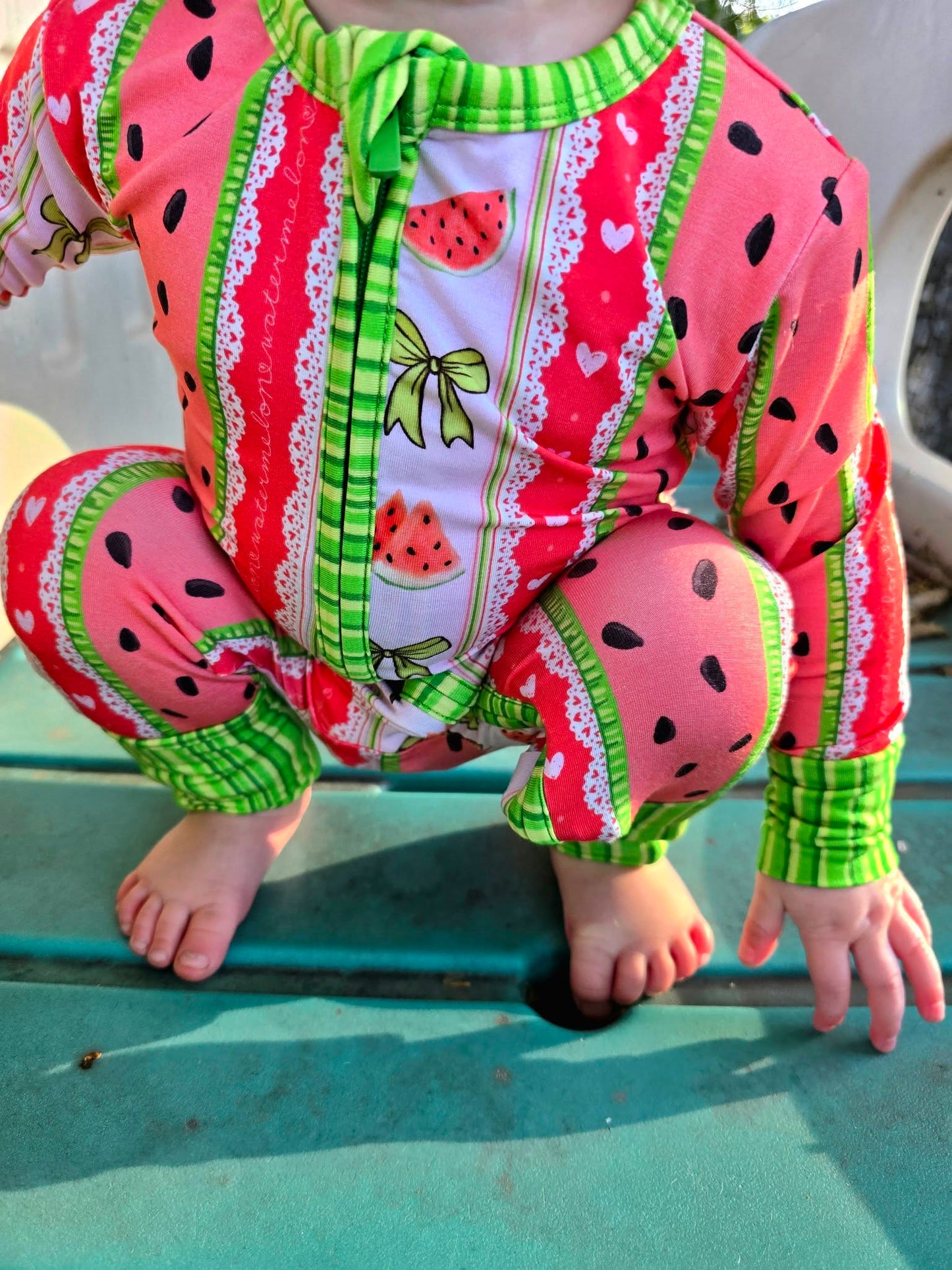Watermelon Sugar Zippy