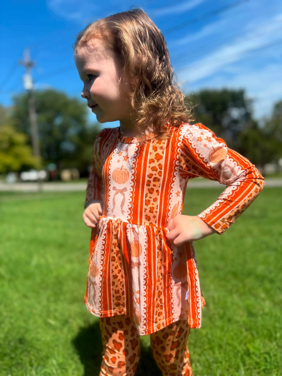 Wild Harvest Long Sleeve and Pants Peplum Set